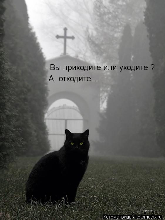 - Вы приходите или уходите ? А, отходите...... Котоматрица: - Вы приходите или уходите ? А, отходите...