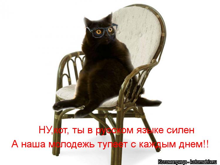 НУ,кот, ты в русском языке силен А наша молодежь тупеет с каждым днем!!... Котоматрица: НУ,кот, ты в русском языке силен А наша молодежь тупеет с каждым днем!!