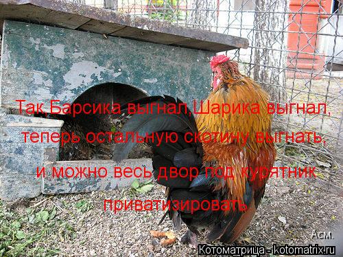 Так,Барсика выгнал,Шарика выгнал, теперь остальную скотину выгнать, и можно весь двор под курятник п... Котоматрица: Так,Барсика выгнал,Шарика выгнал, теперь остальную скотину выгнать, и можно весь двор под курятник приватизировать. Асм.