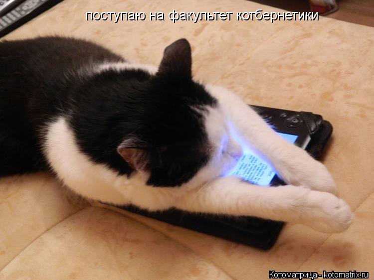 поступаю на факультет котбернетики... Котоматрица: поступаю на факультет котбернетики