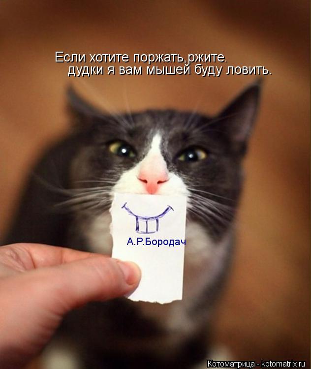 Если хотите поржать,ржите. дудки я вам мышей буду ловить. А.Р.Бородач... Котоматрица: Если хотите поржать,ржите. дудки я вам мышей буду ловить. А.Р.Бородач