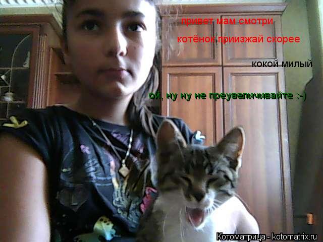 привет мам смотри котёнок приизжай скорее кокой милый ой, ну ну не преувеличивайте :-)... Котоматрица: привет мам смотри котёнок приизжай скорее кокой милый ой, ну ну не преувеличивайте :-)