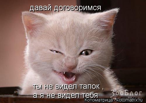 давай договоримся ты не видел тапок , а я не видел тебя... Котоматрица: давай договоримся ты не видел тапок , а я не видел тебя