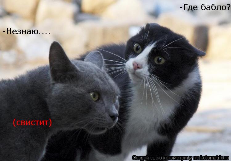 -Где бабло? -Незнаю.... (свистит)... Котоматрица: -Где бабло? -Незнаю.... (свистит)