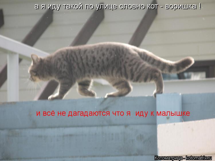а я иду такой по улице словно кот - воришка ! и всё не дагадаются что я иду к малышке... Котоматрица: а я иду такой по улице словно кот - воришка ! и всё не дагадаются что я иду к малышке