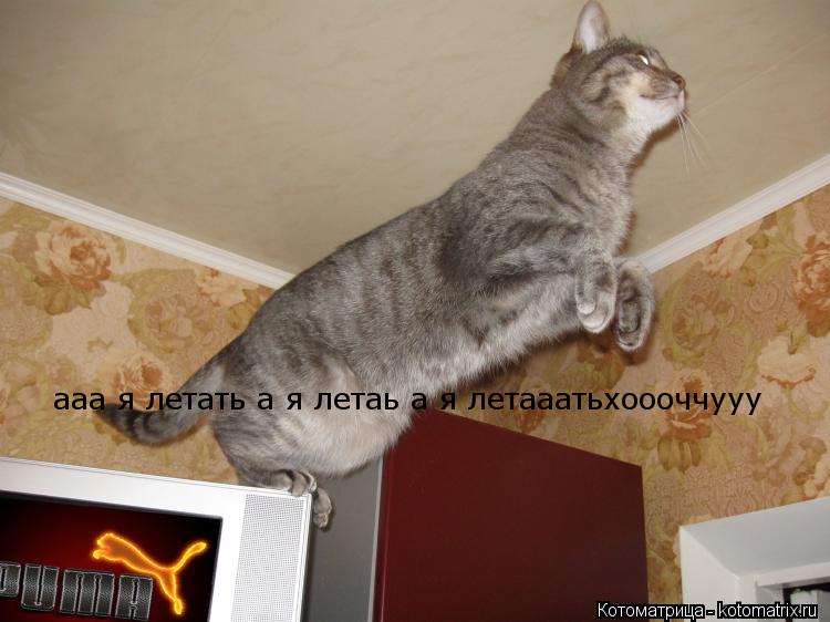 ааа я летать а я летаь а я летааатьхоооччууу... Котоматрица: ааа я летать а я летаь а я летааатьхоооччууу