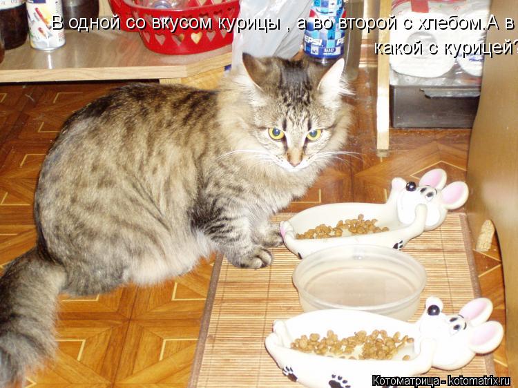 В одной со вкусом курицы , а во второй с хлебом.А в какой с курицей? какой с курицей?... Котоматрица: В одной со вкусом курицы , а во второй с хлебом.А в какой с курицей? какой с курицей?
