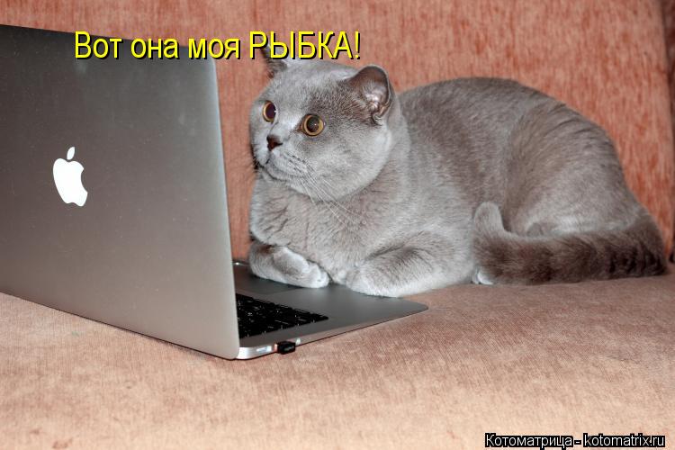 Вот она моя РЫБКА!... Котоматрица: Вот она моя РЫБКА!