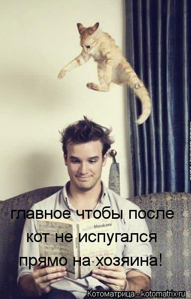 главное чтобы после кот не испугался прямо на хозяина!... Котоматрица: главное чтобы после кот не испугался прямо на хозяина!