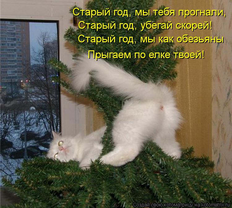 Старый год, мы тебя прогнали, Старый год, убегай скорей! Старый год, мы как обезьяны Прыгаем по елке ... Котоматрица: Старый год, мы тебя прогнали, Старый год, убегай скорей! Старый год, мы как обезьяны Прыгаем по елке твоей!