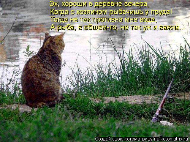 Котоматрица: Эх, хороши в деревне вечера, Когда с хозяином рыбачишь у пруда! Тогда не так противна мне вода, А рыба, в общем-то, не так уж и важна...
