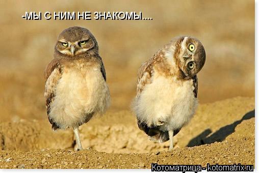 -МЫ С НИМ НЕ ЗНАКОМЫ....... Котоматрица: -МЫ С НИМ НЕ ЗНАКОМЫ....