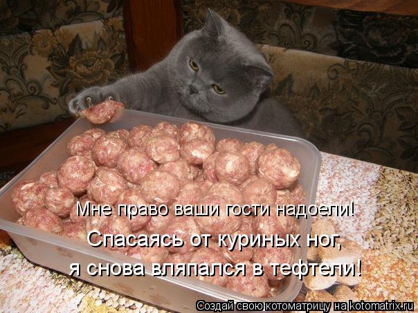 Мне право ваши гости надоели! Спасаясь от куриных ног, я снова вляпался в тефтели!... Котоматрица: Мне право ваши гости надоели! Спасаясь от куриных ног, я снова вляпался в тефтели!