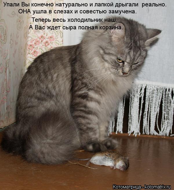 Упали Вы конечно натурально и лапкой дрыгали реально. ОНА ушла в слезах и совестью замучена. ОНА ушл... Котоматрица: Упали Вы конечно натурально и лапкой дрыгали реально. ОНА ушла в слезах и совестью замучена. ОНА ушла в слезах и совестью замучена. А Вас жд