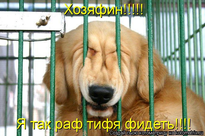 Хозяфин!!!!! Я так раф тифя фидеть!!!!... Котоматрица: Хозяфин!!!!! Я так раф тифя фидеть!!!!