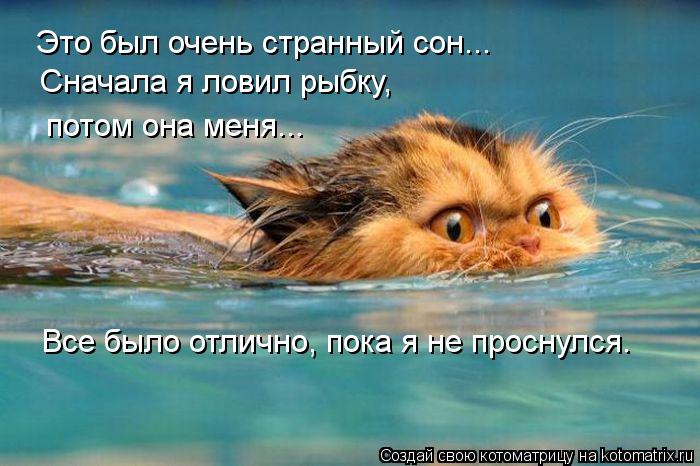 Это был очень странный сон... Сначала я ловил рыбку, потом она меня... Все было отлично, пока я не пр... Котоматрица: Это был очень странный сон... Сначала я ловил рыбку, потом она меня... Все было отлично, пока я не проснулся.