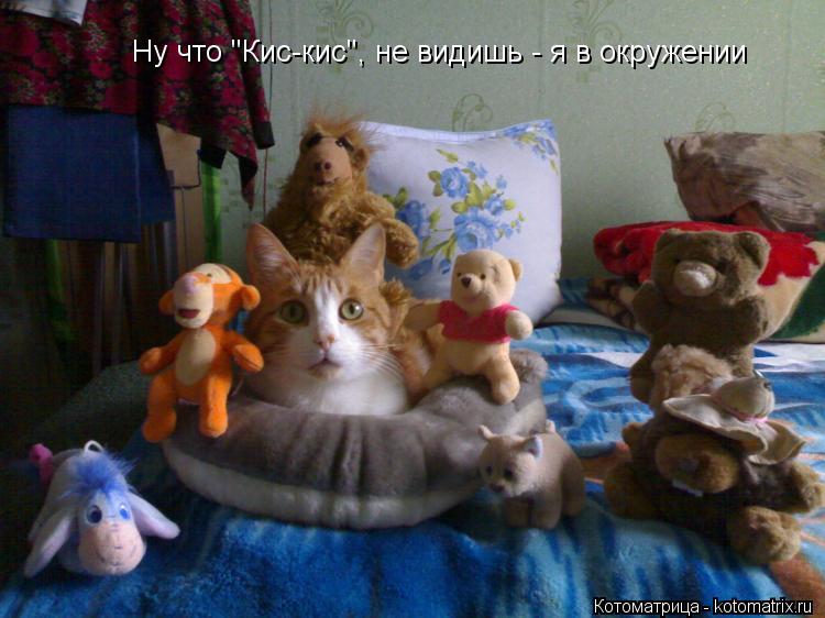 Ну что "Кис-кис", не видишь - я в окружении... Котоматрица: Ну что "Кис-кис", не видишь - я в окружении