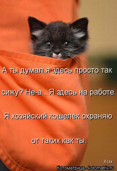 А ты думал,я здесь просто так сижу? Не-а...Я здесь на работе. Я хозяйский кошелёк охраняю от таких к... Котоматрица: А ты думал,я здесь просто так сижу? Не-а...Я здесь на работе. Я хозяйский кошелёк охраняю от таких как ты. Асм.