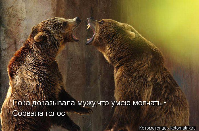 Пока доказывала мужу,что умею молчать - Сорвала голос.... Котоматрица: Пока доказывала мужу,что умею молчать - Сорвала голос.