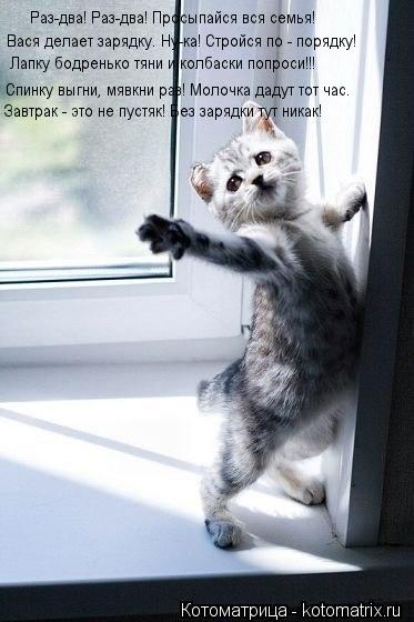 Раз-два! Раз-два! Просыпайся вся семья! Вася делает зарядку. Ну-ка! Стройся по - порядку! Лапку бодре... Котоматрица: Раз-два! Раз-два! Просыпайся вся семья! Вася делает зарядку. Ну-ка! Стройся по - порядку! Лапку бодренько тяни и колбаски попроси!!! Спинку выгн