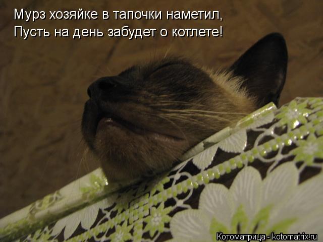 Мурз хозяйке в тапочки наметил, Пусть на день забудет о котлете!... Котоматрица: Мурз хозяйке в тапочки наметил, Пусть на день забудет о котлете!
