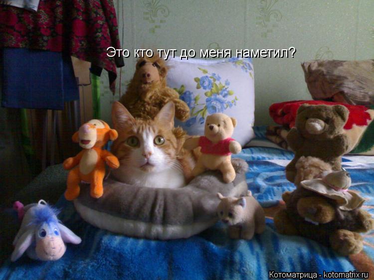 Это кто тут до меня наметил?... Котоматрица: Это кто тут до меня наметил?