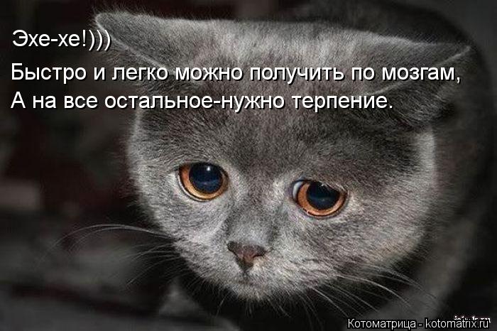 Эхе-хе!))) Быстро и легко можно получить по мозгам, А на все остальное-нужно терпение.... Котоматрица: Эхе-хе!))) Быстро и легко можно получить по мозгам, А на все остальное-нужно терпение.
