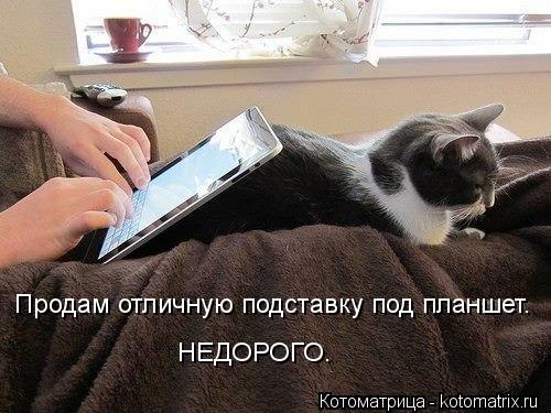 Продам отличную подставку под планшет. НЕДОРОГО.... Котоматрица: Продам отличную подставку под планшет. НЕДОРОГО.