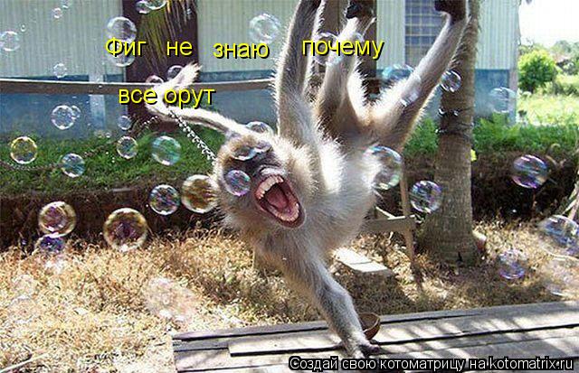 Фиг не знаю почему все орут... Котоматрица: Фиг не знаю почему все орут