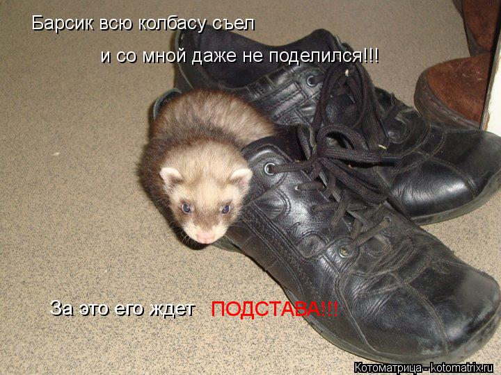 Барсик всю колбасу съел и со мной даже не поделился!!! За это его ждет ПОДСТАВА!!!... Котоматрица: Барсик всю колбасу съел и со мной даже не поделился!!! За это его ждет ПОДСТАВА!!!