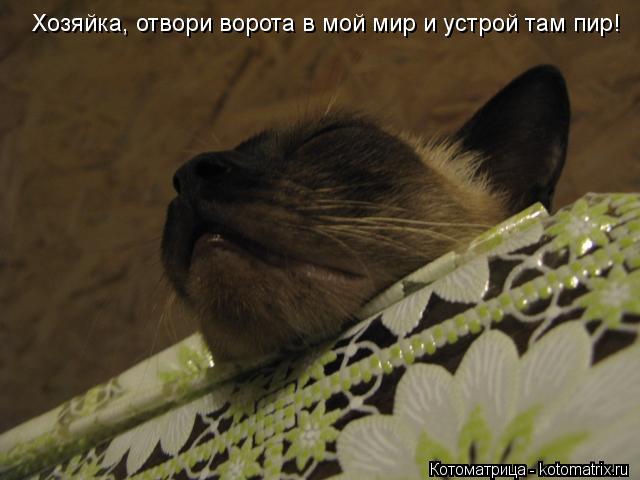 Хозяйка, отвори ворота в мой мир и устрой там пир!... Котоматрица: Хозяйка, отвори ворота в мой мир и устрой там пир!