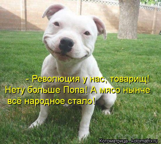 - Революция у нас, товарищ! Нету больше Попа! А мясо нынче всё народное стало!... Котоматрица: - Революция у нас, товарищ! Нету больше Попа! А мясо нынче всё народное стало!
