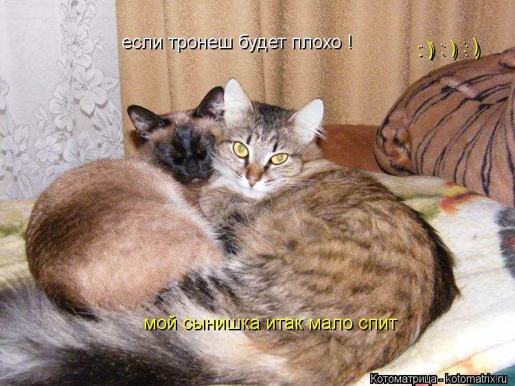 если тронеш будет плохо ! мой сынишка итак мало спит : ) : ) : ) : ) : ) : ) : ) : ) : )... Котоматрица: если тронеш будет плохо ! мой сынишка итак мало спит : ) : ) : ) : ) : ) : ) : ) : ) : )