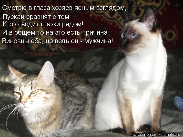 И в общем то на это есть причина - Виновны оба, но ведь он - мужчина! Кто отводит глазки рядом! Пуска... Котоматрица: И в общем то на это есть причина - Виновны оба, но ведь он - мужчина! Кто отводит глазки рядом! Пускай сравнят с тем, Смотрю в глаза хозяев ясны