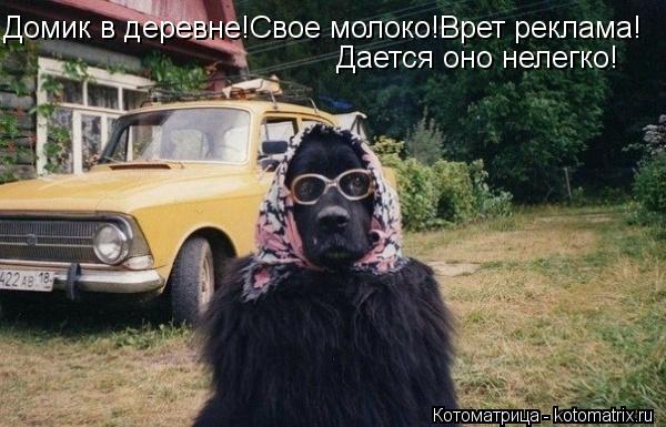 Домик в деревне!Свое молоко!Врет реклама! Дается оно нелегко!... Котоматрица: Домик в деревне!Свое молоко!Врет реклама! Дается оно нелегко!
