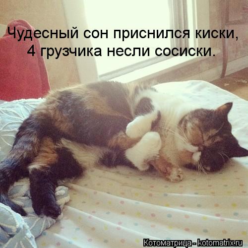 Чудесный сон приснился киски, 4 грузчика несли сосиски.... Котоматрица: Чудесный сон приснился киски, 4 грузчика несли сосиски.