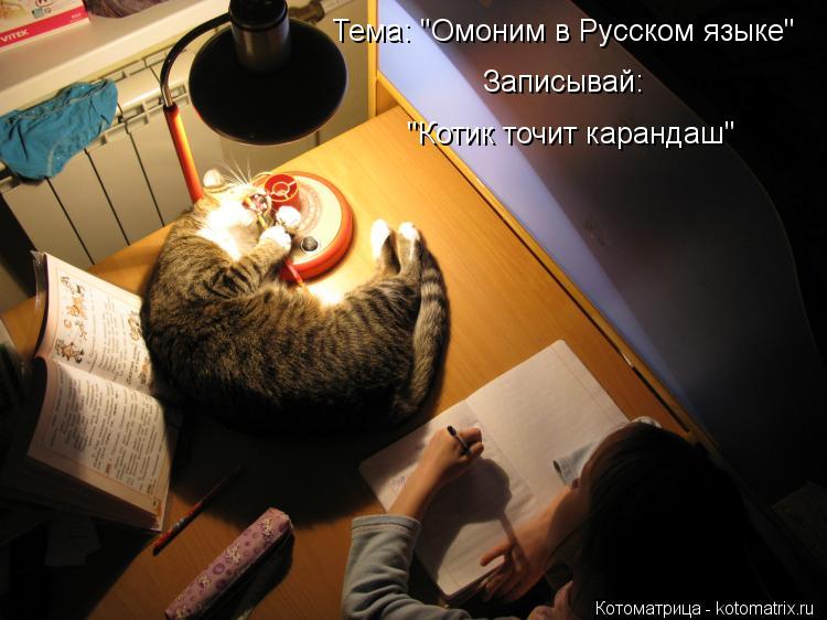 Тема: "Омоним в Русском языке" Записывай: "Котик точит карандаш"... Котоматрица: Тема: "Омоним в Русском языке" Записывай: "Котик точит карандаш"