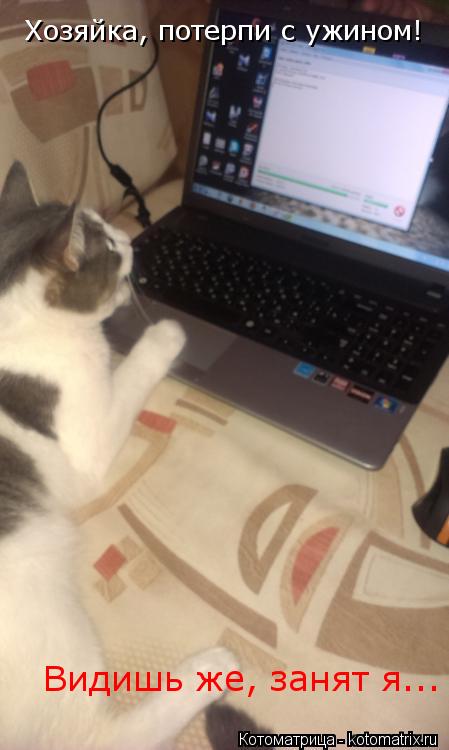 Хозяйка, потерпи с ужином! Видишь же, занят я...... Котоматрица: Хозяйка, потерпи с ужином! Видишь же, занят я...