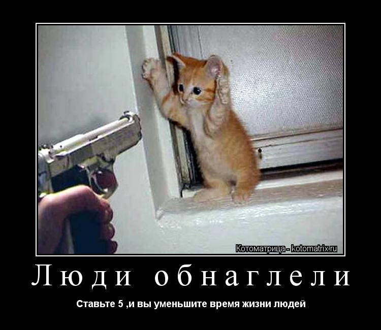 Люди обнаглели Ставьте 5 ,и вы уменьшите время жизни людей... Котоматрица: Люди обнаглели Ставьте 5 ,и вы уменьшите время жизни людей