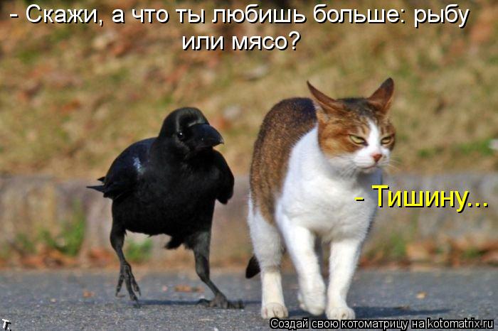 - Скажи, а что ты любишь больше: рыбу или мясо? - Тишину...... Котоматрица: - Скажи, а что ты любишь больше: рыбу или мясо? - Тишину...