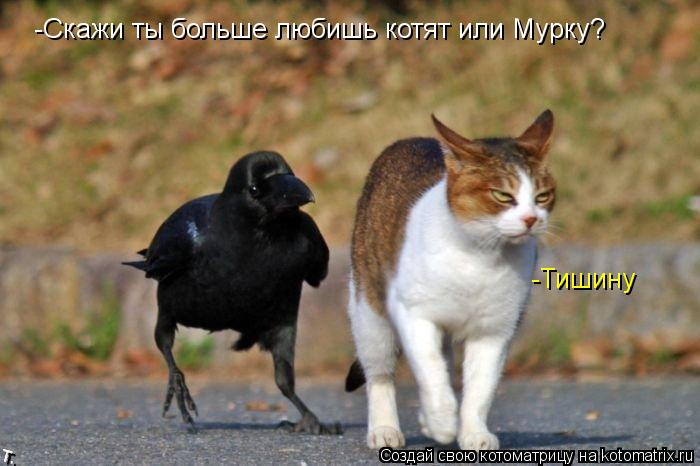 -Скажи ты больше любишь котят или Мурку? -Тишину... Котоматрица: -Скажи ты больше любишь котят или Мурку? -Тишину