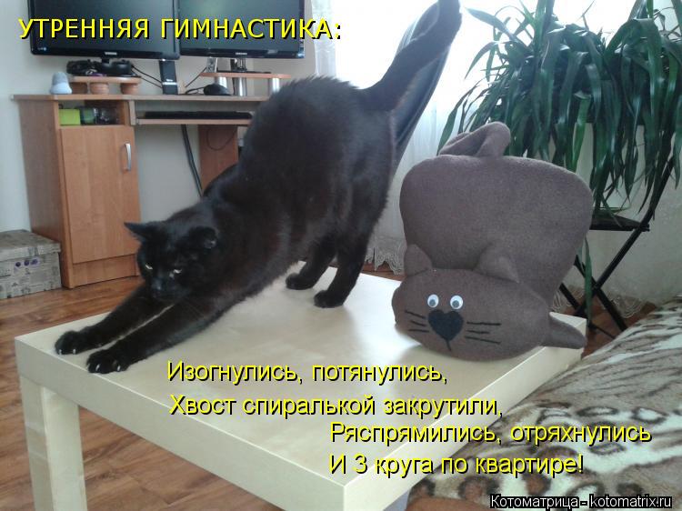 Изогнулись, потянулись, Ряспрямились, отряхнулись И 3 круга по квартире! Хвост спиралькой закрутили,... Котоматрица: Изогнулись, потянулись, Ряспрямились, отряхнулись И 3 круга по квартире! Хвост спиралькой закрутили, УТРЕННЯЯ ГИМНАСТИКА: