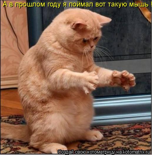 А в прошлом году я поймал вот такую мышь !!!... Котоматрица: А в прошлом году я поймал вот такую мышь !!!