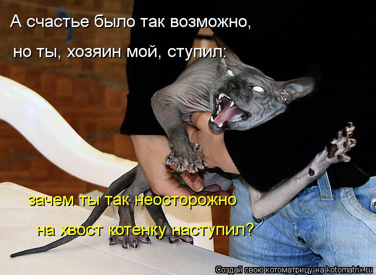 А счастье было так возможно, но ты, хозяин мой, ступил: зачем ты так неосторожно на хвост котенку на... Котоматрица: А счастье было так возможно, но ты, хозяин мой, ступил: зачем ты так неосторожно на хвост котенку наступил?