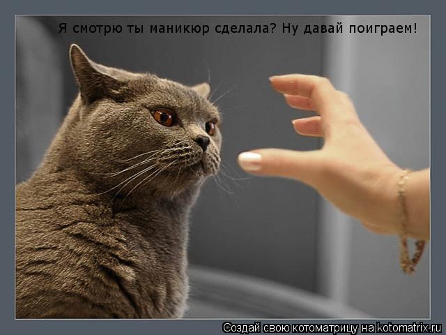 Я смотрю ты маникюр сделала? Ну давай поиграем!... Котоматрица: Я смотрю ты маникюр сделала? Ну давай поиграем!