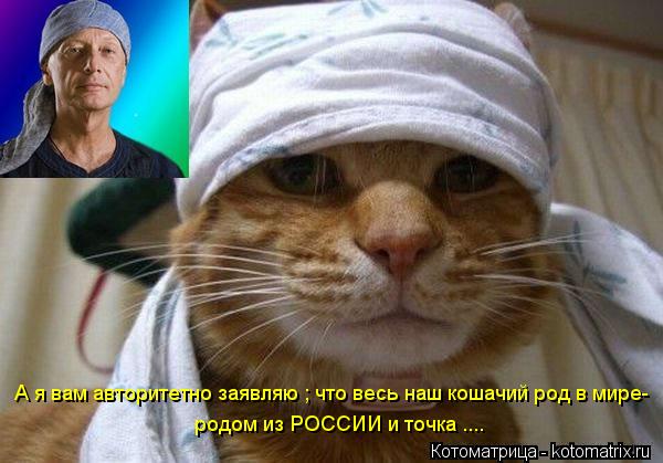 А я вам авторитетно заявляю ; что весь наш кошачий род в мире- родом из РОССИИ и точка ....... Котоматрица: А я вам авторитетно заявляю ; что весь наш кошачий род в мире- родом из РОССИИ и точка ....