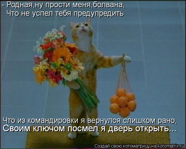 - Родная,ну прости меня,болвана, Что не успел тебя предупредить Что из командировки я вернулся слишко... Котоматрица: - Родная,ну прости меня,болвана, Что не успел тебя предупредить Что из командировки я вернулся слишком рано, Своим ключом посмел я дверь отк