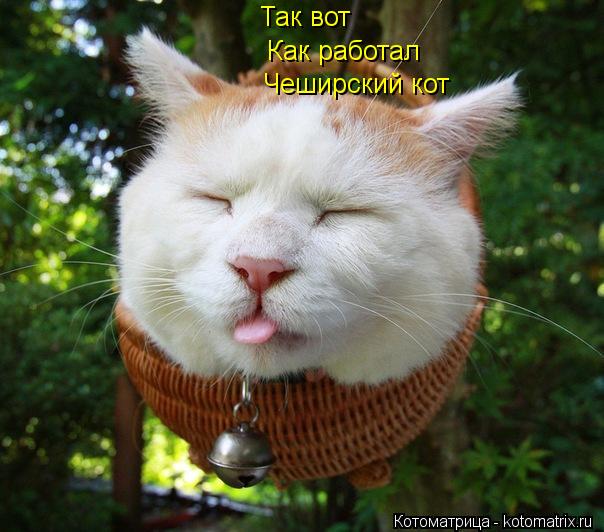Так вот Как работал Чеширский кот... Котоматрица: Так вот Как работал Чеширский кот