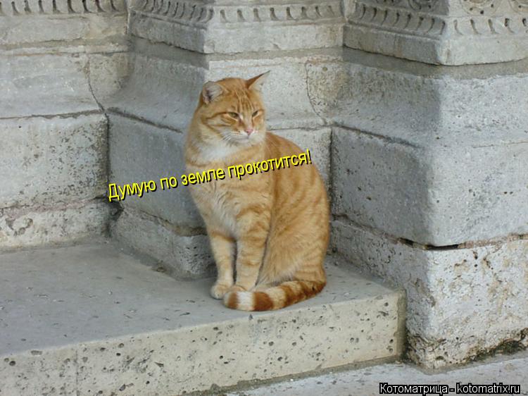 Думую по земле прокотится!... Котоматрица: Думую по земле прокотится!