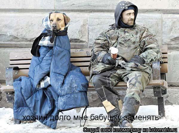 хозяин долго мне бабушку заменять... Котоматрица: хозяин долго мне бабушку заменять